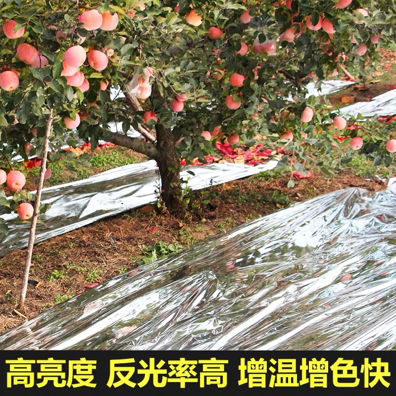 图木舒克市塑料薄膜果树反光膜 - 哪里好